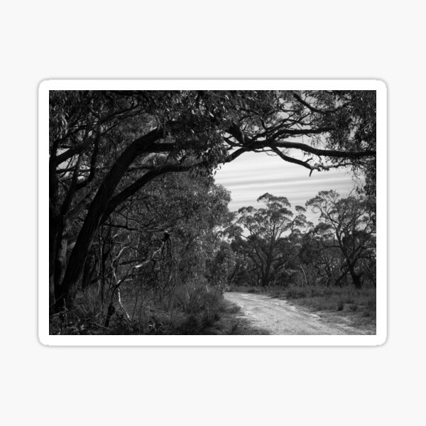 Item preview, What's That On the Road Ahead? designed and sold by Ben Loveday.