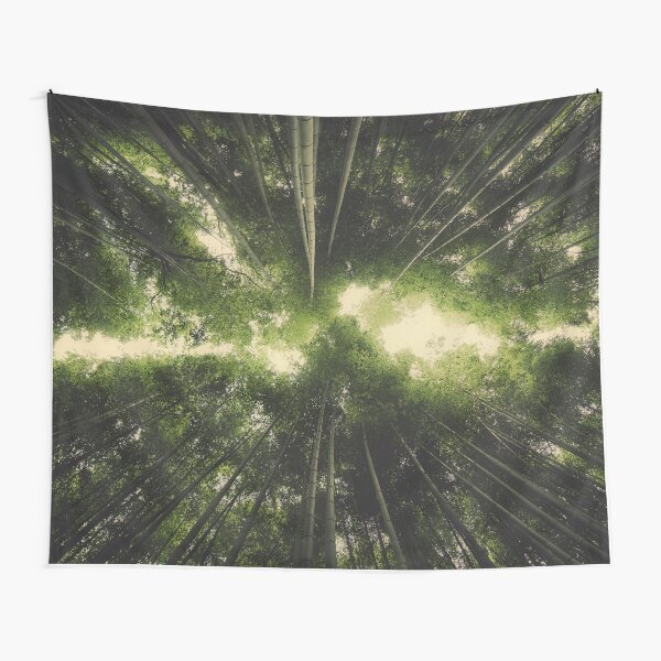 Item preview, Bamboo forest designed and sold by hraunphoto.