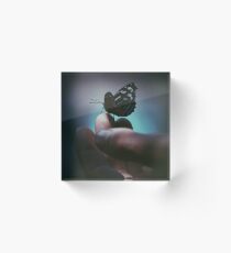 Schmetterling Acrylic Block