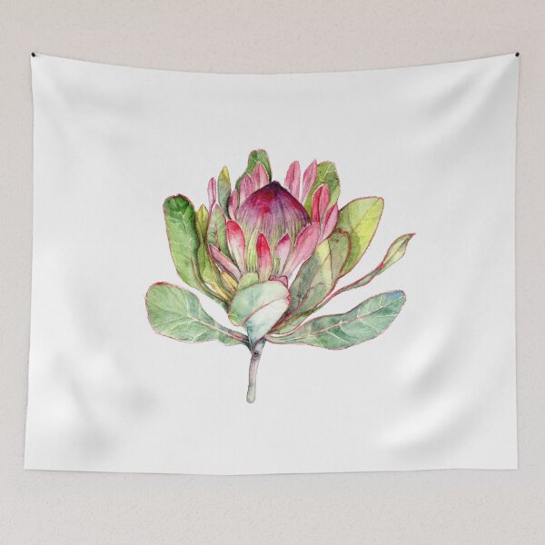 Artikelvorschau, Protea Flower - Botanische Kunst entworfen und verkauft von Goosi Art.