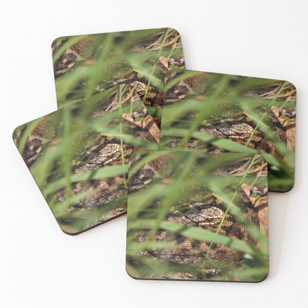 Item preview, Snake in the grass. Adder - Vipera berus designed and sold by Christian Moss.