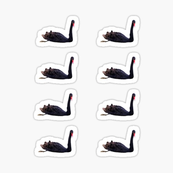 DIY Black Swan Pearl Stickers