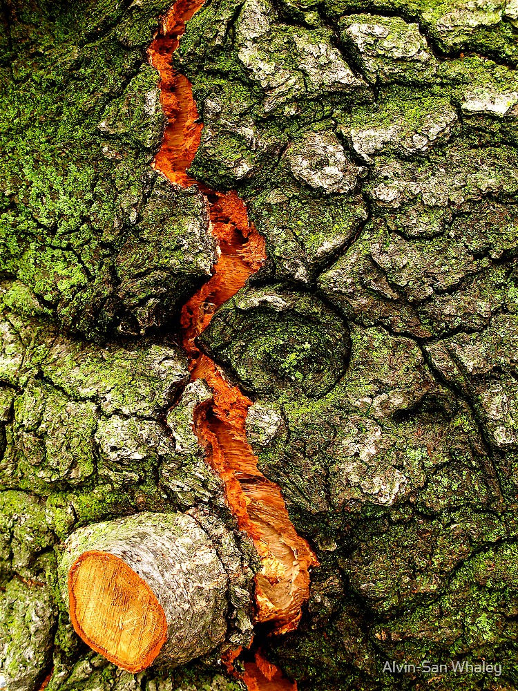 Thumbnail 2 of 2, Postcard, FISSURE designed and sold by alvinsan9.