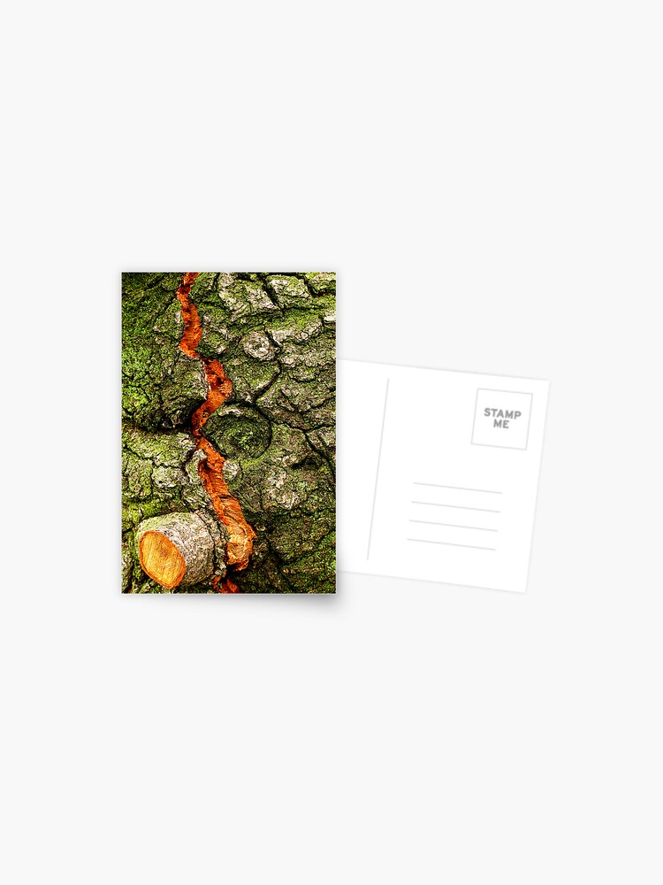 Thumbnail 1 of 2, Postcard, FISSURE designed and sold by alvinsan9.