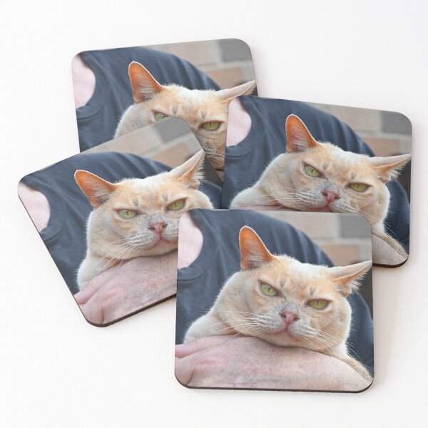 Item preview, My cat designed and sold by Doug Cliff.