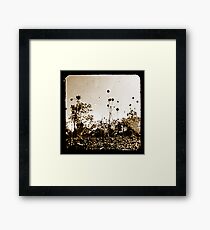 The other side Framed Print