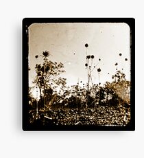 The other side Canvas Print