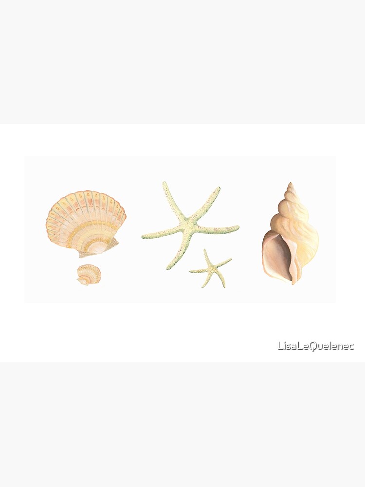 Thumbnail 2 of 2, Laptop Skin, Scallop, starfish and whelk sea shells study designed and sold by LisaLeQuelenec.