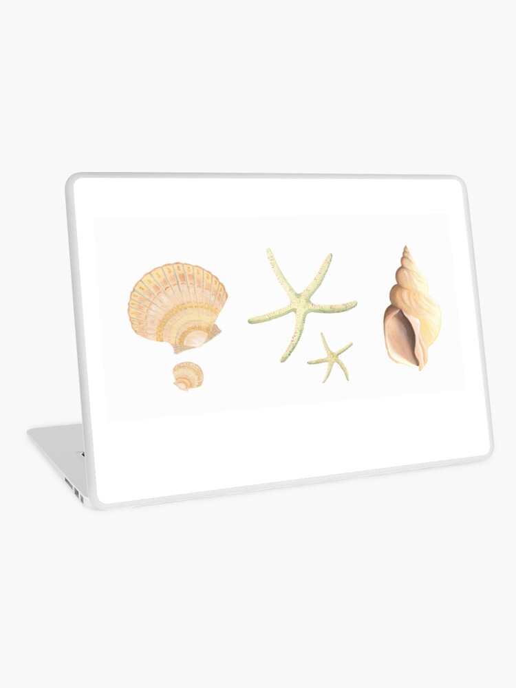 Thumbnail 1 of 2, Laptop Skin, Scallop, starfish and whelk sea shells study designed and sold by LisaLeQuelenec.