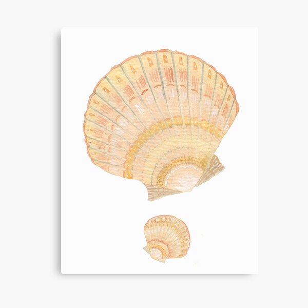 Scallop Shell Art Print - 20cm & 30cm Square