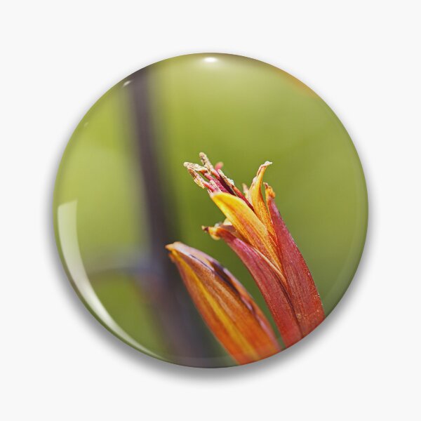 Item preview, New Zealand Flax Flower designed and sold by Joy Watson - Natural Light Photography .