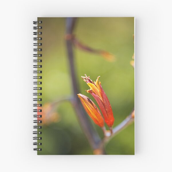 Item preview, New Zealand Flax Flower designed and sold by Joy Watson - Natural Light Photography .