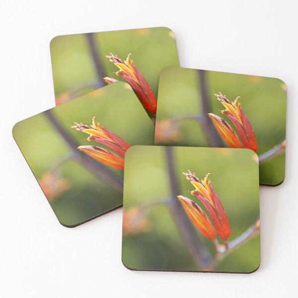 Item preview, New Zealand Flax Flower designed and sold by Joy Watson - Natural Light Photography .