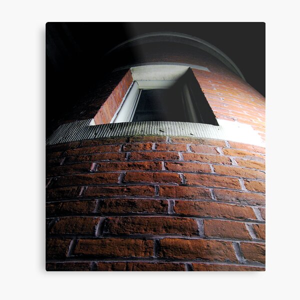 "Rapunzel ... ?" Metal Print