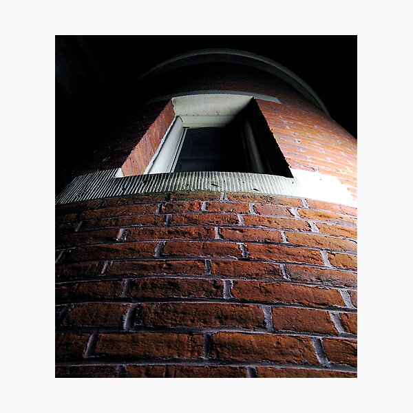 "Rapunzel ... ?" Photographic Print