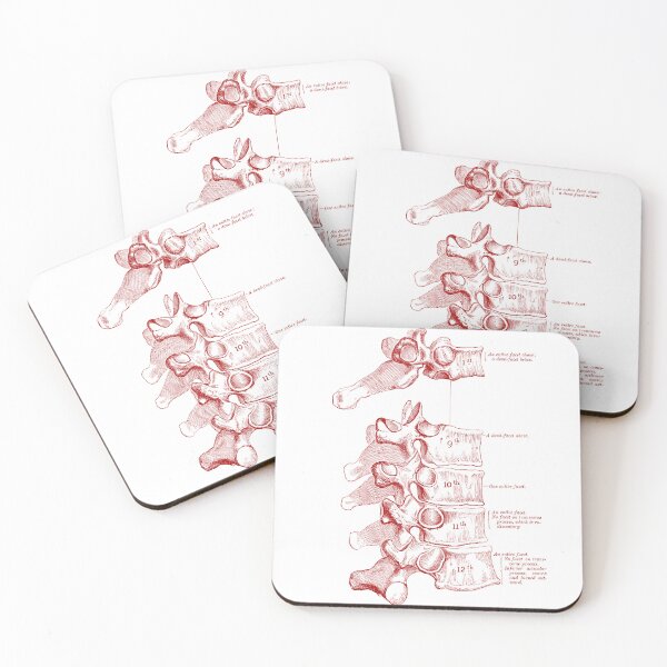 Item preview, Vintage Spine Anatomy Labelled. designed and sold by pnand.