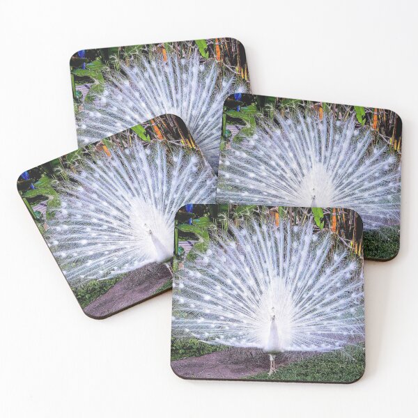 Item preview, PEACOCK : Full Beautifully Feathered Print designed and sold by posterbobs.