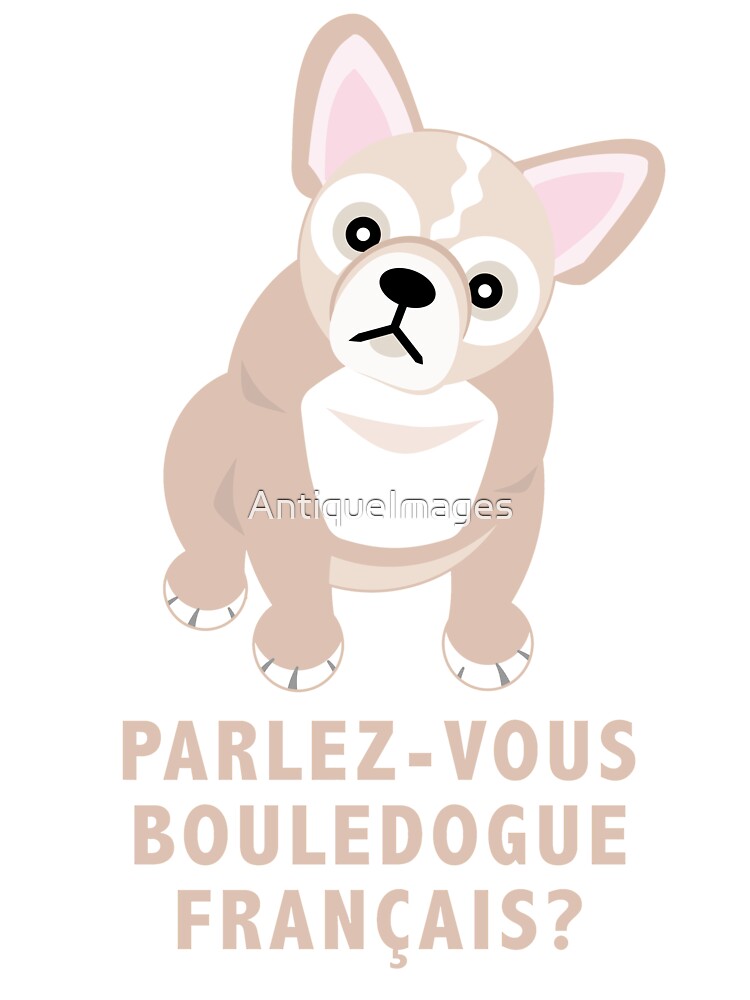 Cute French Speaking French Bulldog