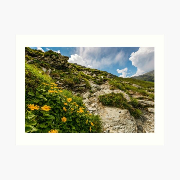 beautiful flowers on Steep slope of rocky hillside Art Print