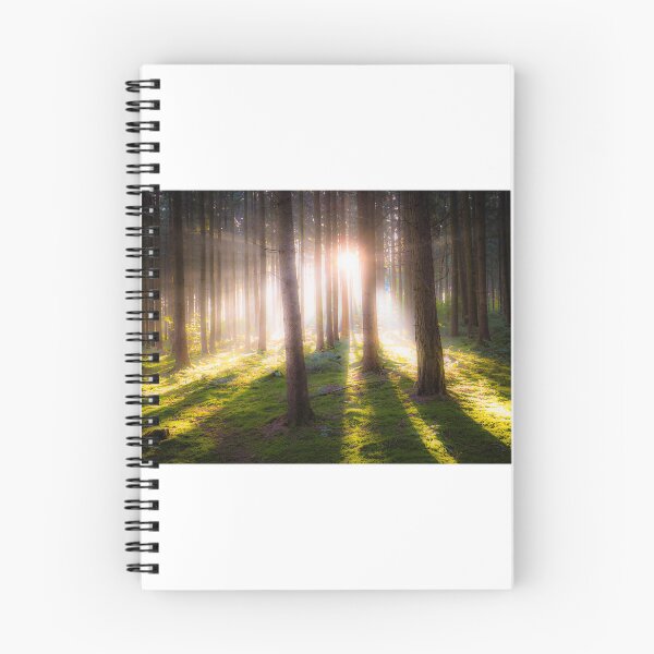 Item preview, Forest photo with forest clearing designed and sold by Pietschi2022.