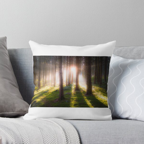 Item preview, Forest photo with forest clearing designed and sold by Pietschi2022.