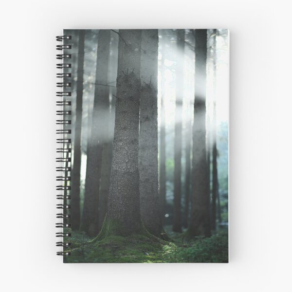 Item preview, Forest photo with clearing designed and sold by Pietschi2022.