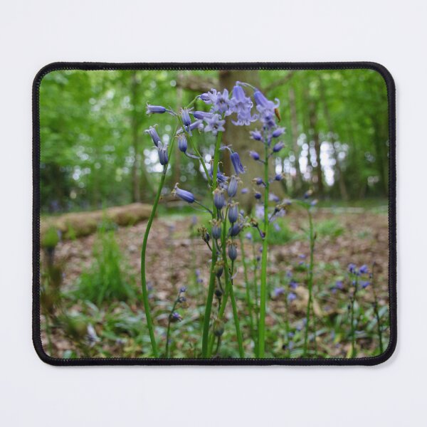 Item preview, bluebells in hockley woods designed and sold by Perggals© - Stacey Turner.