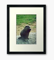 How Much Wood Framed Print