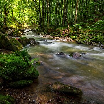 Artwork thumbnail, Rapid stream in green forest by mike-pellinni