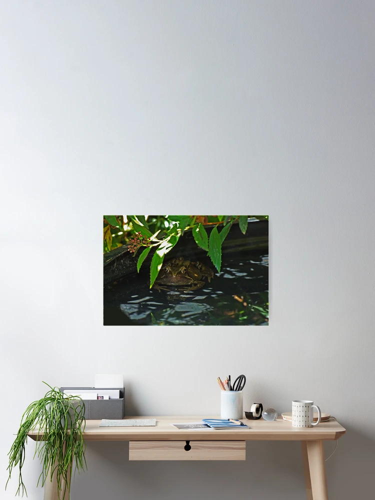 Thumbnail 2 of 3, Poster, Frog Rescue! designed and sold by TimHatcher.