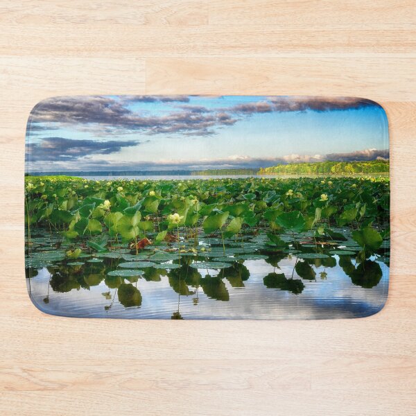 Item preview, American Lotus in Pymatuning Reservoir designed and sold by Kathy Weaver.