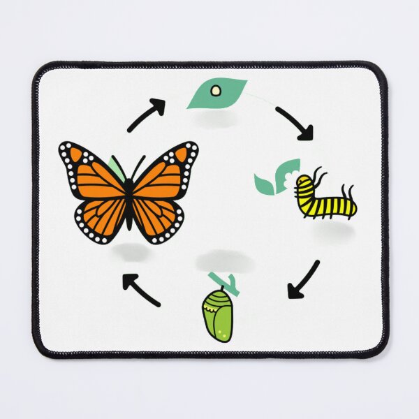 Item preview, life cycle of a Butterfly designed and sold by McsP-Fashion.