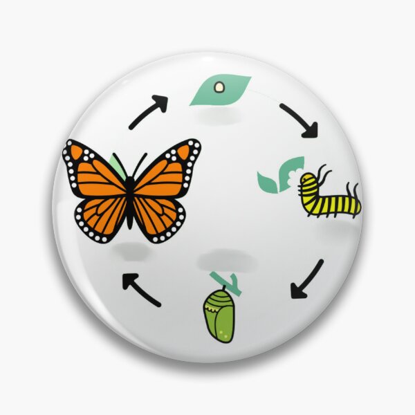 Item preview, life cycle of a Butterfly designed and sold by McsP-Fashion.