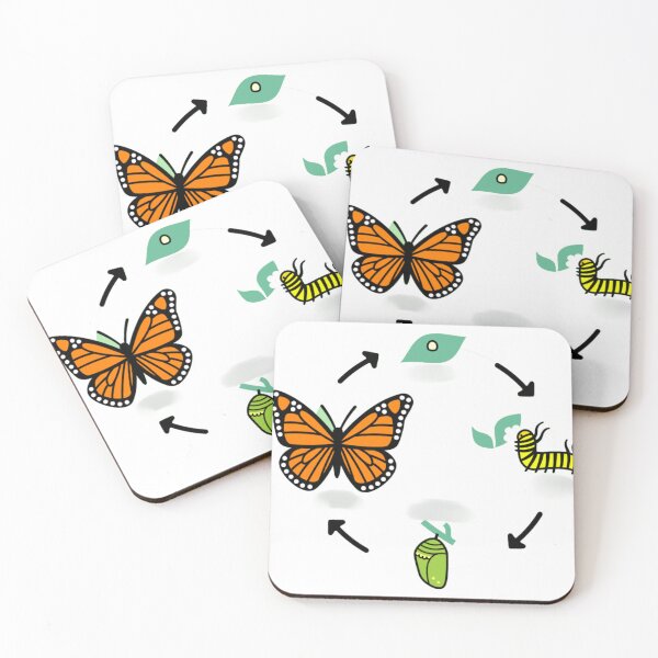 Item preview, life cycle of a Butterfly designed and sold by McsP-Fashion.