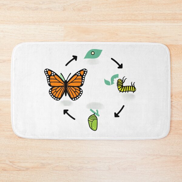Item preview, life cycle of a Butterfly designed and sold by McsP-Fashion.