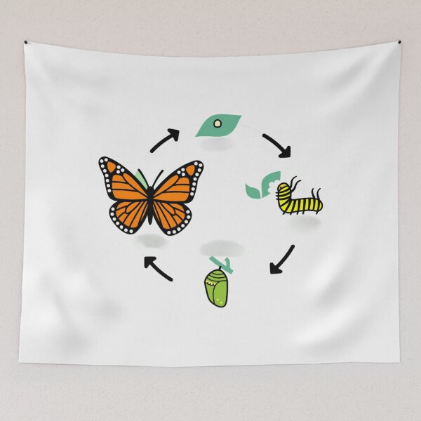 Item preview, life cycle of a Butterfly designed and sold by McsP-Fashion.