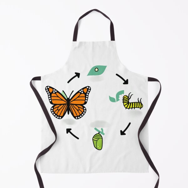 Item preview, life cycle of a Butterfly designed and sold by McsP-Fashion.