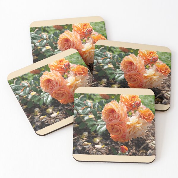 Item preview, Rosa rugosa (Barcelona edition) designed and sold by susannapujolcli.