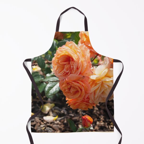 Item preview, Rosa rugosa (Barcelona edition) designed and sold by susannapujolcli.