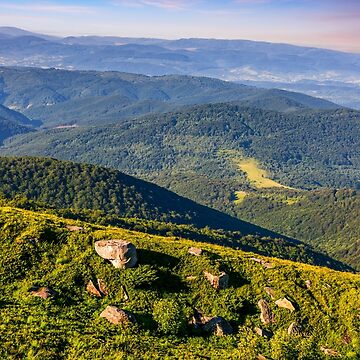 Artwork thumbnail, meadow with boulders in Carpathian mountains in summer by mike-pellinni