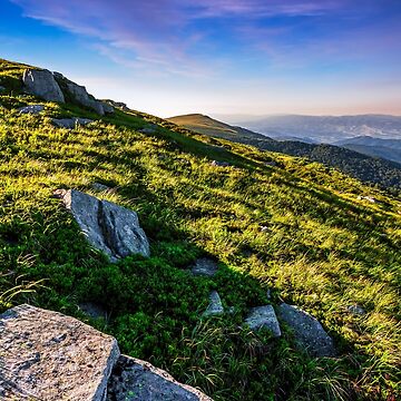 Artwork thumbnail, hillside with boulders in Carpathian mountains in summer by mike-pellinni