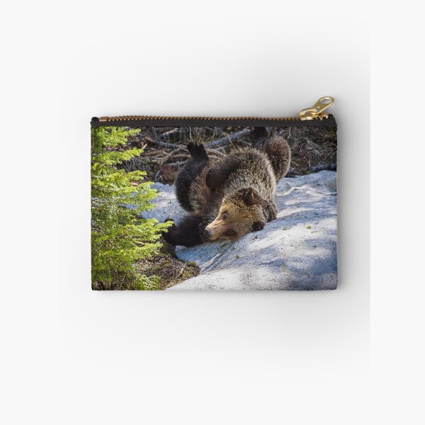 Item preview, Oops! Funny bear rolled too far. designed and sold by vagabondgal.