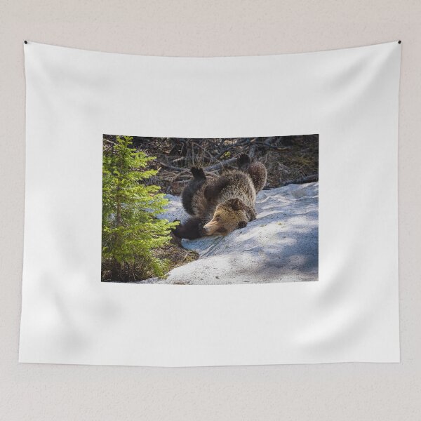 Item preview, Oops! Funny bear rolled too far. designed and sold by vagabondgal.