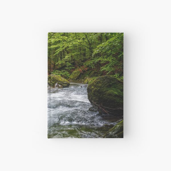 Rapid stream in green forest Hardcover Journal