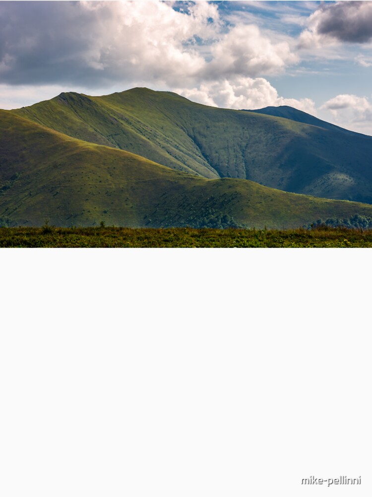 Carpathian Mountain Range in summer by mike-pellinni
