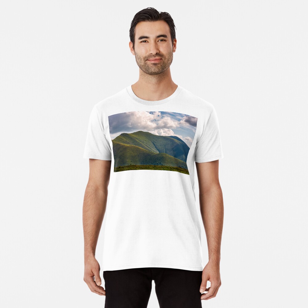 Carpathian Mountain Range in summer Premium T-Shirt