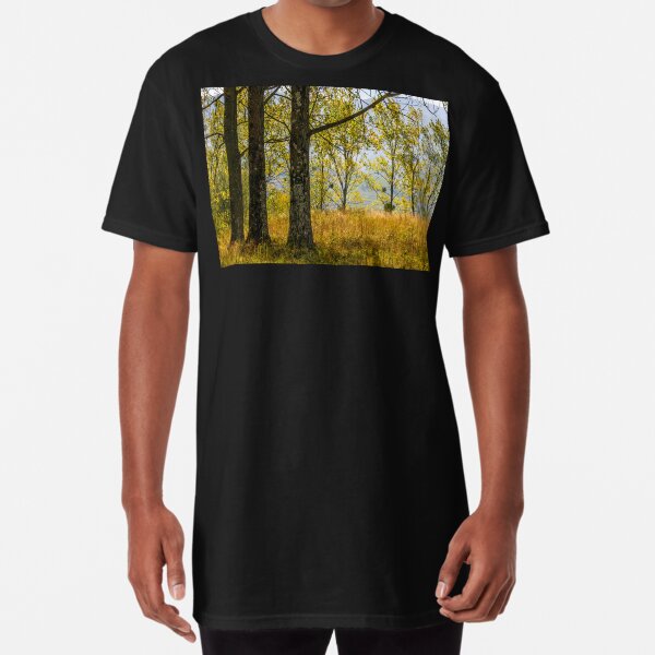 autumn forest in yellow foliage Long T-Shirt