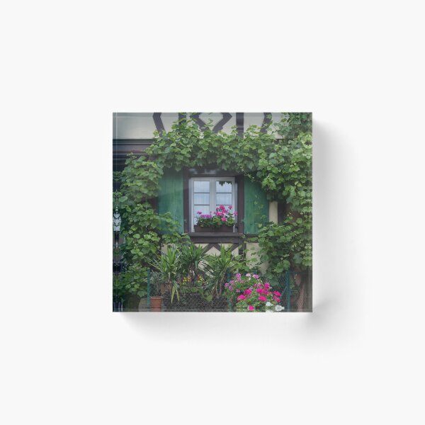 Item preview, Window and Vines designed and sold by Yair Karelic.