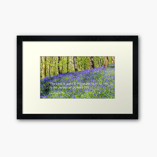 Bluebells in nature with biblical verse Framed Art Print