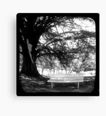 Park Bench - TTV Canvas Print
